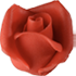  Kis rózsa piros