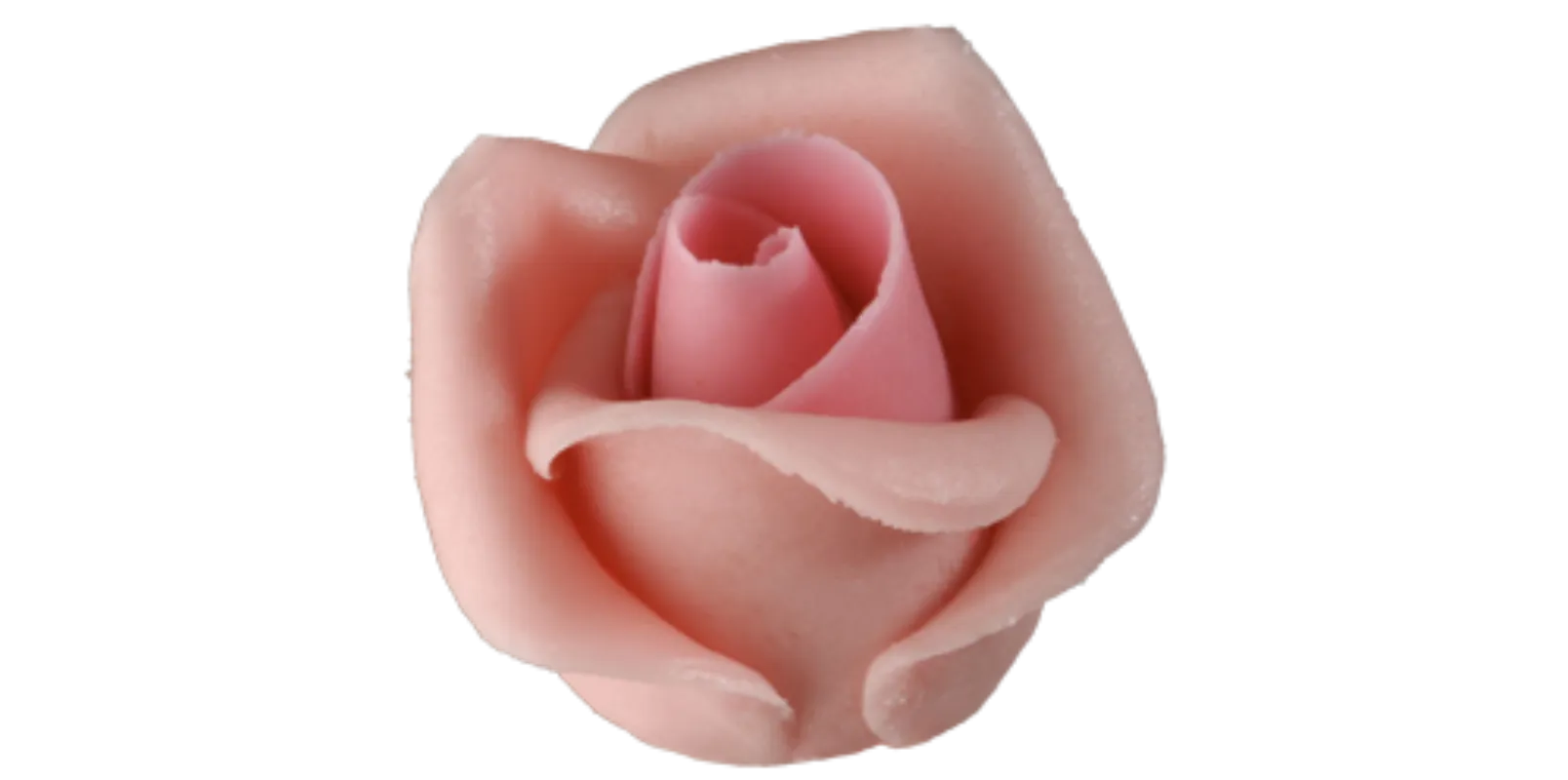 Kis rózsa rózsaszín