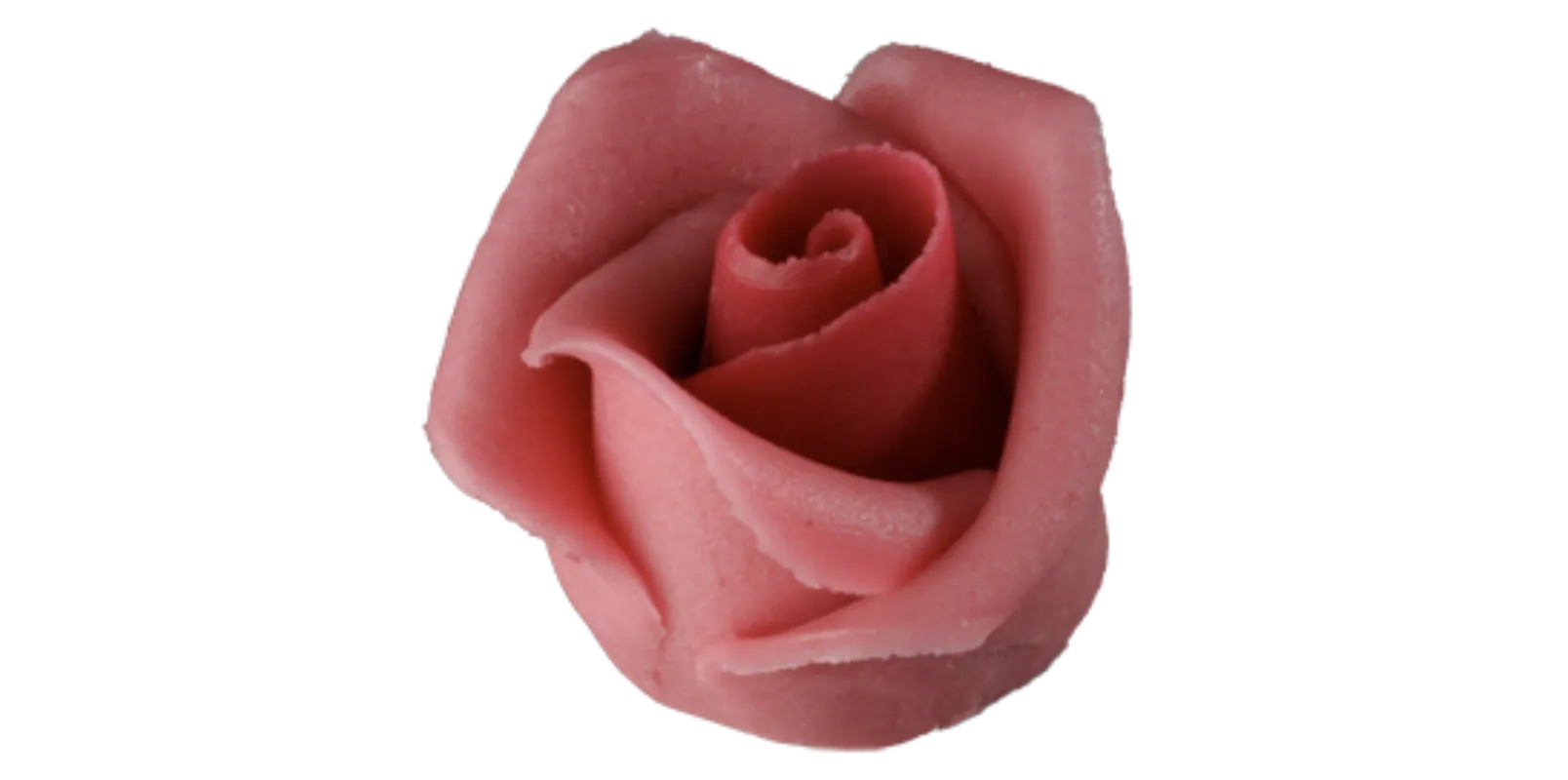 Kis rózsa ciklámen