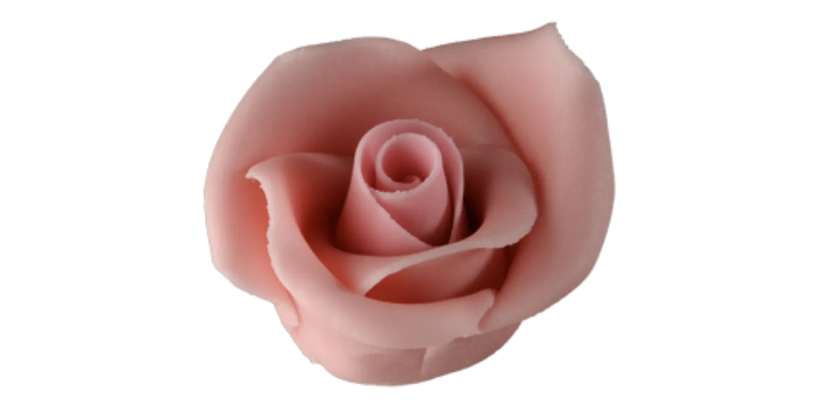 Nagy rózsa rózsaszín