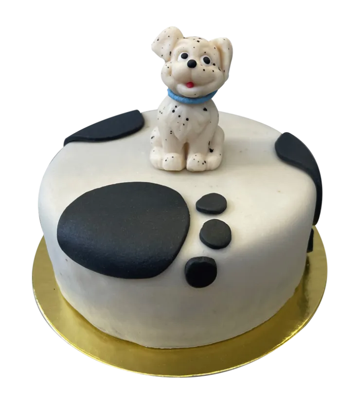 Figura torta - Dalmata